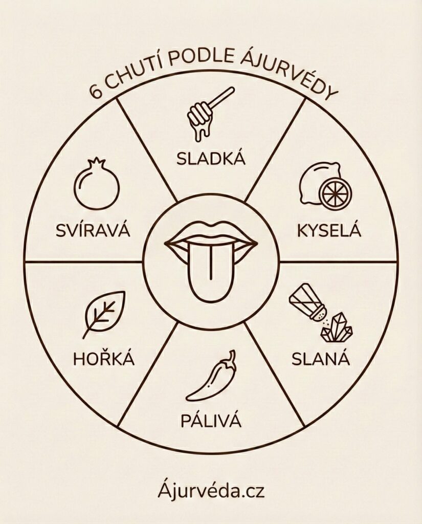 Infografika šesti ájurvédských chutí s ikonami potravin uspořádanými do kruhu - ajurveda.cz