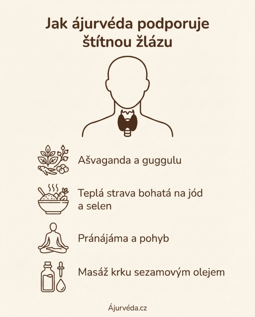 Stitna zlaza ajurveda INFOGRAFIKA