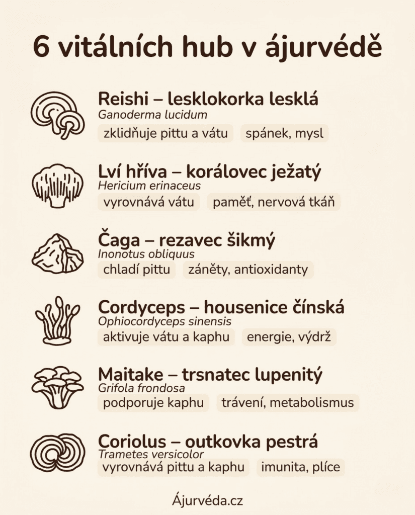 Infografika: 6 vitálních hub v ájurvédě a jejich vliv na dóši