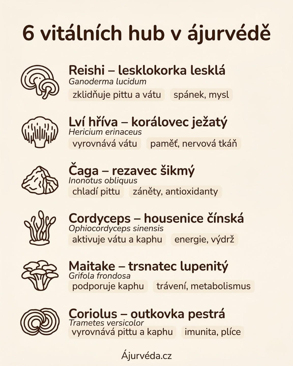 Tisíce let stará věda a houby z lékárny. Překvapivě dobrá kombinace.

Reishi, lví hříva, čaga nebo cordyceps z pohledu ájurvédy. Každá houba má svůj energetický profil a jinak působí na dóši. Která sedí vaší konstituci?

Ájurvéda tradičně houby řadí mezi tamasické potraviny (těžké, otupující mysl). Medicinální houby ale tvoří výjimku a moderní ájurvédští lékaři je přirovnávají k rasájanám (omlazujícím tonikům), které postupně budují ódžas (vitální esenci a přirozenou imunitu).

Celý průvodce světem vitálních hub najdete v odkazu v bio.

#ajurveda #ajurvedacz #vitalnihouby #medicinalnhouby #reishi #lvihriva #lionsmane #caga #chaga #cordyceps #maitake #outkovkapestrá #rasayana #odžas #prirodnilecba #imunita #dosha #vata #pitta #kapha #bylinky #prirodnizdravi #zdravyzivotni #holistic #wellnesscz